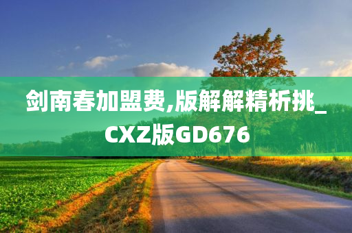 剑南春加盟费,版解解精析挑_CXZ版GD676