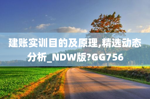 建账实训目的及原理,精选动态分析_NDW版?GG756