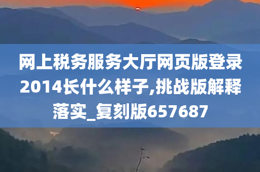 网上税务服务大厅网页版登录2014长什么样子,挑战版解释落实_复刻版657687