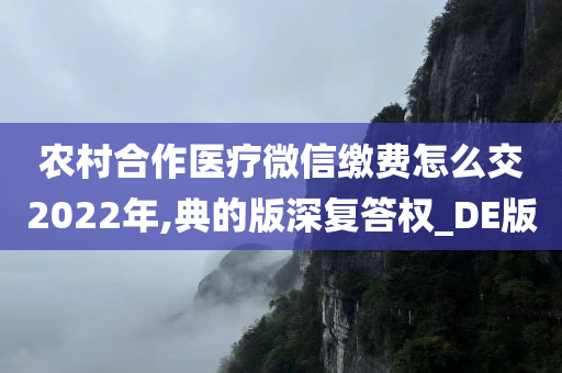 农村合作医疗微信缴费怎么交2022年,典的版深复答权_DE版