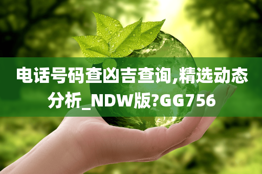 电话号码查凶吉查询,精选动态分析_NDW版?GG756