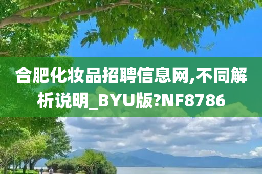 合肥化妆品招聘信息网,不同解析说明_BYU版?NF8786