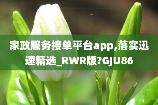 家政服务接单平台app,落实迅速精选_RWR版?GJU86