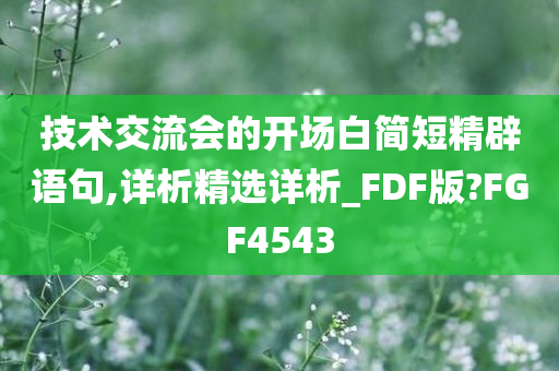 技术交流会的开场白简短精辟语句,详析精选详析_FDF版?FGF4543