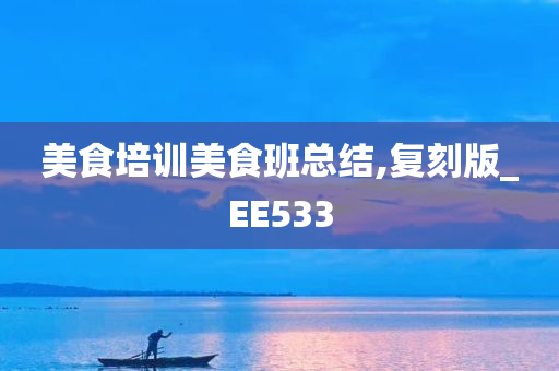 美食培训美食班总结,复刻版_EE533