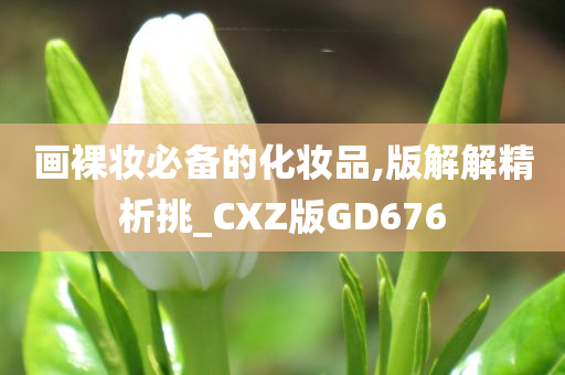 画裸妆必备的化妆品,版解解精析挑_CXZ版GD676