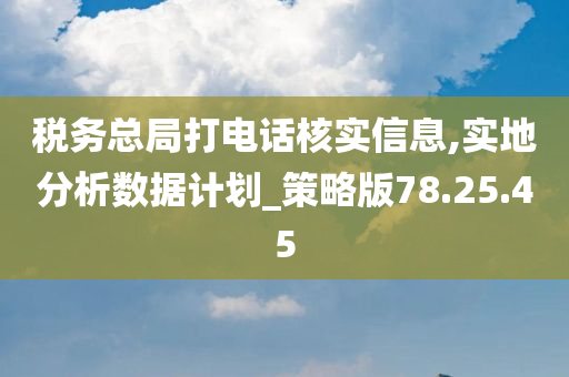 税务总局打电话核实信息,实地分析数据计划_策略版78.25.45