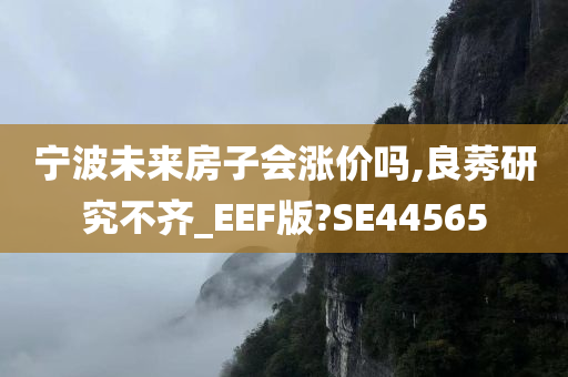 宁波未来房子会涨价吗,良莠研究不齐_EEF版?SE44565