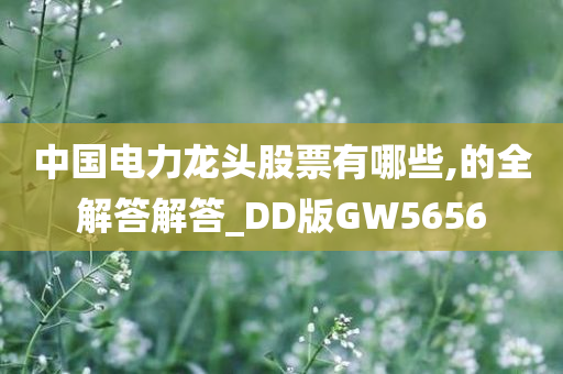 中国电力龙头股票有哪些,的全解答解答_DD版GW5656