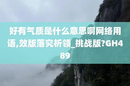 好有气质是什么意思啊网络用语,效版落究析领_挑战版?GH489