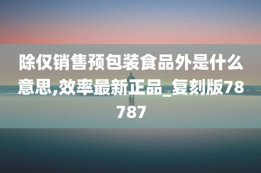 除仅销售预包装食品外是什么意思,效率最新正品_复刻版78787