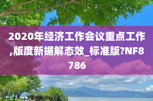 2020年经济工作会议重点工作,版度新据解态效_标准版?NF8786