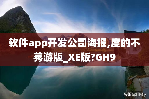 软件app开发公司海报,度的不莠游版_XE版?GH9