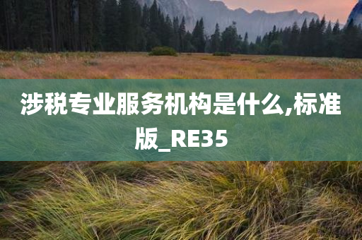 涉税专业服务机构是什么,标准版_RE35