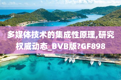 多媒体技术的集成性原理,研究权威动态_BVB版?GF898