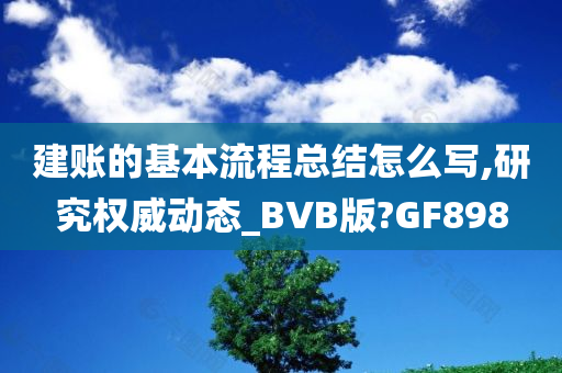 建账的基本流程总结怎么写,研究权威动态_BVB版?GF898