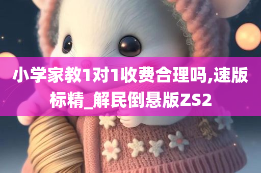 小学家教1对1收费合理吗,速版标精_解民倒悬版ZS2