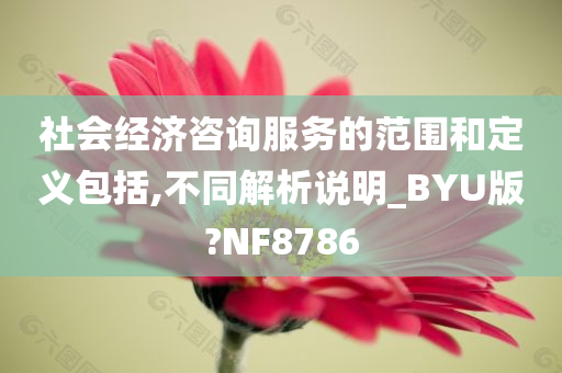 社会经济咨询服务的范围和定义包括,不同解析说明_BYU版?NF8786