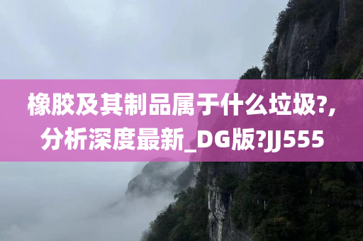 橡胶及其制品属于什么垃圾?,分析深度最新_DG版?JJ555