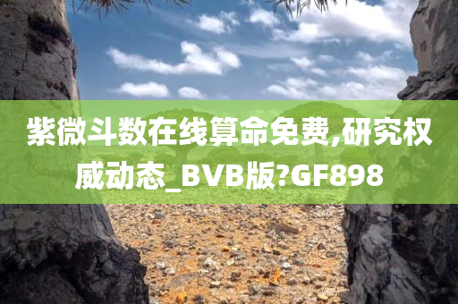 紫微斗数在线算命免费,研究权威动态_BVB版?GF898