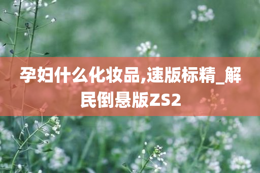 孕妇什么化妆品,速版标精_解民倒悬版ZS2