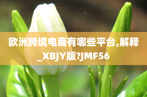 欧洲跨境电商有哪些平台,解释_XBJY版?JMF56