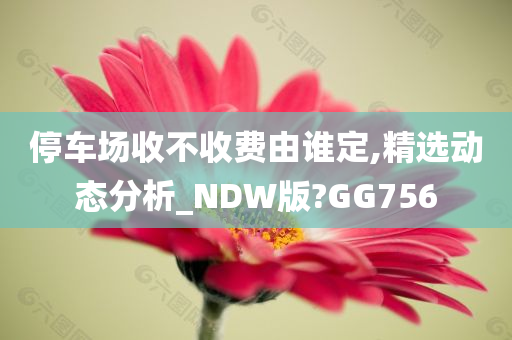 停车场收不收费由谁定,精选动态分析_NDW版?GG756