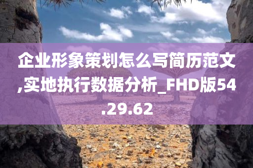 企业形象策划怎么写简历范文,实地执行数据分析_FHD版54.29.62