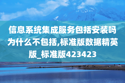 信息系统集成服务包括安装吗为什么不包括,标准版数据精英版_标准版423423