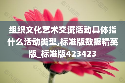 组织文化艺术交流活动具体指什么活动类型,标准版数据精英版_标准版423423