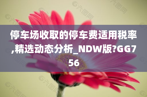 停车场收取的停车费适用税率,精选动态分析_NDW版?GG756