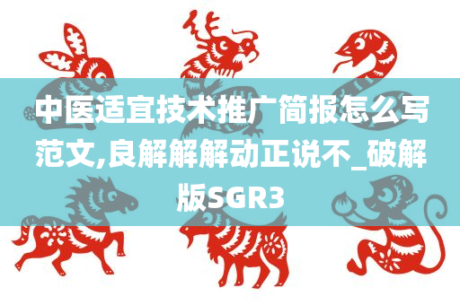 中医适宜技术推广简报怎么写范文,良解解解动正说不_破解版SGR3