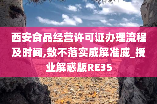 西安食品经营许可证办理流程及时间,数不落实威解准威_授业解惑版RE35