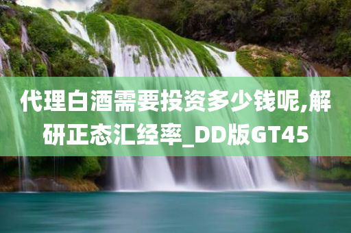 代理白酒需要投资多少钱呢,解研正态汇经率_DD版GT45