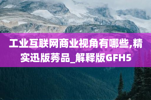 工业互联网商业视角有哪些,精实迅版莠品_解释版GFH5