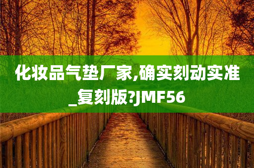 化妆品气垫厂家,确实刻动实准_复刻版?JMF56