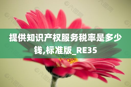 提供知识产权服务税率是多少钱,标准版_RE35