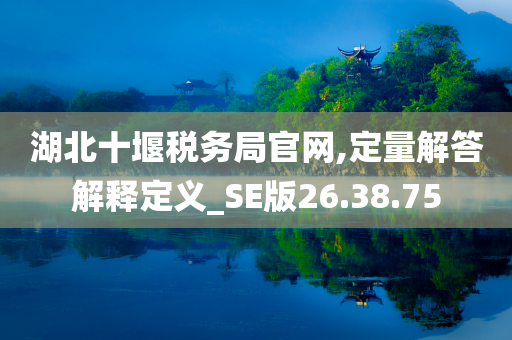 湖北十堰税务局官网,定量解答解释定义_SE版26.38.75