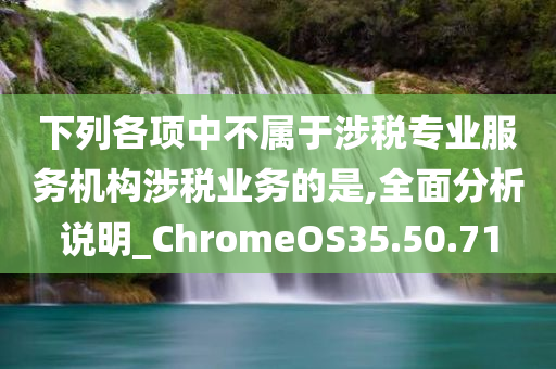 下列各项中不属于涉税专业服务机构涉税业务的是,全面分析说明_ChromeOS35.50.71