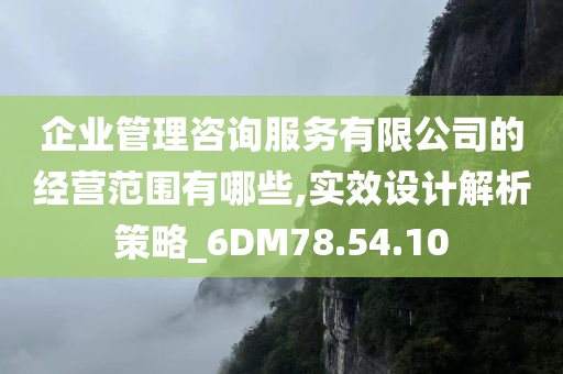 企业管理咨询服务有限公司的经营范围有哪些,实效设计解析策略_6DM78.54.10