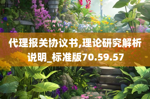 代理报关协议书,理论研究解析说明_标准版70.59.57