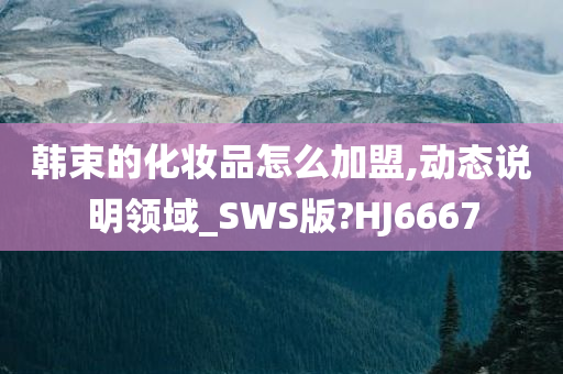 韩束的化妆品怎么加盟,动态说明领域_SWS版?HJ6667