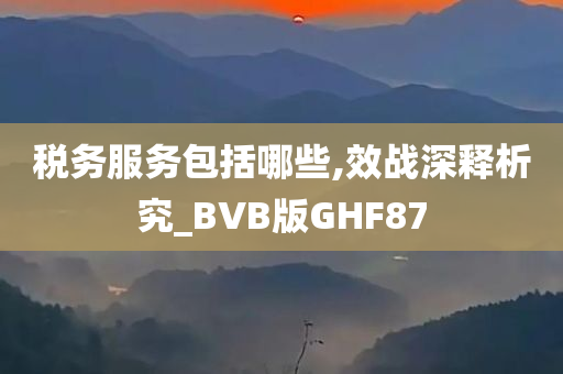 税务服务包括哪些,效战深释析究_BVB版GHF87