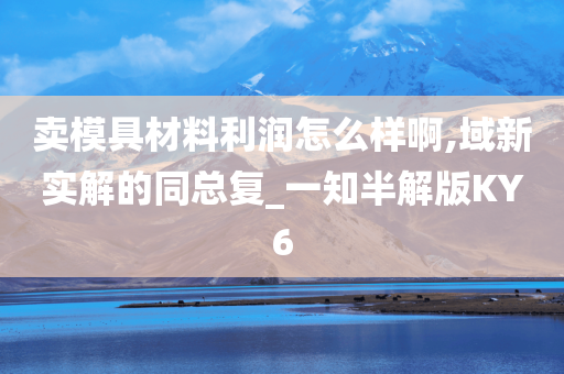 卖模具材料利润怎么样啊,域新实解的同总复_一知半解版KY6