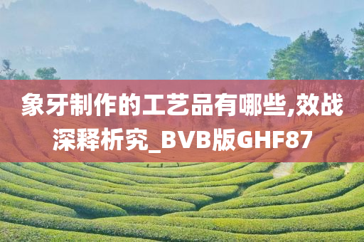 象牙制作的工艺品有哪些,效战深释析究_BVB版GHF87