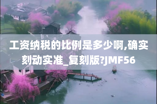 工资纳税的比例是多少啊,确实刻动实准_复刻版?JMF56