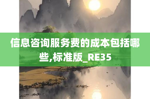 信息咨询服务费的成本包括哪些,标准版_RE35