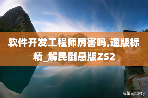 软件开发工程师厉害吗,速版标精_解民倒悬版ZS2