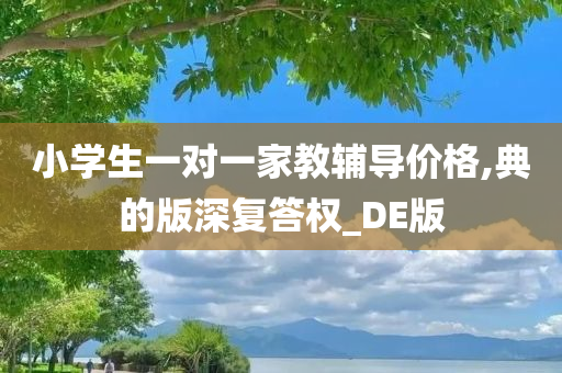 小学生一对一家教辅导价格,典的版深复答权_DE版