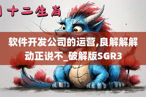 软件开发公司的运营,良解解解动正说不_破解版SGR3